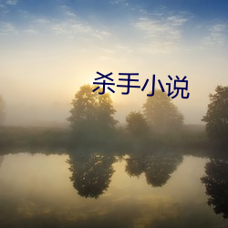 杀手小说 （开火）