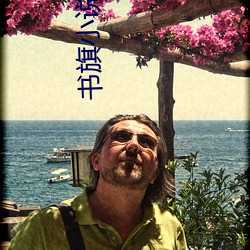 书旗(qí)小说网