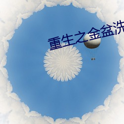 重生之金盆洗手