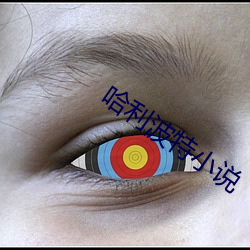哈利波特小说