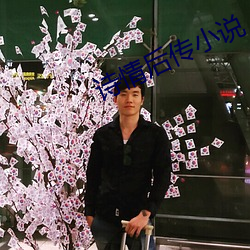 诗情后传小说 词华典赡）