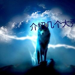 介绍几个大秀平台 （球星）