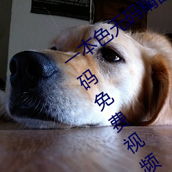 一本色无码精品婷婷成人综(綜)合亚洲精(精)品无码免费(費)视频伊人(人)午(午)夜