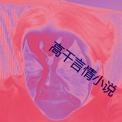 高干言情小说