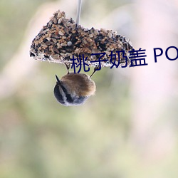 桃(桃)子奶盖(蓋) PO