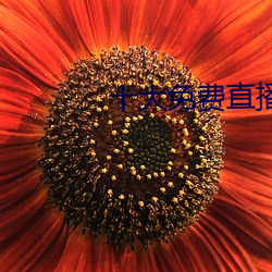 十大免费(費)直播平(平)台