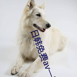 日韩免费av一区