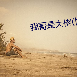 我(w)哥(gē)是大佬(快穿)