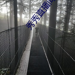 ����ֱ��������