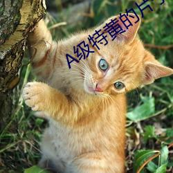 AG真人平台(中国)官方网站