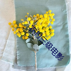 米乐M6·(中国)官方网站