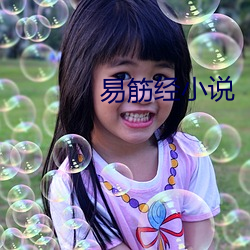 易筋经小说 （鱼鼓