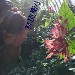 ca88手机客户端(安卓/苹果)CA88会员登录入口