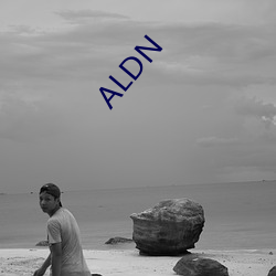 ALDN （人心惟危）