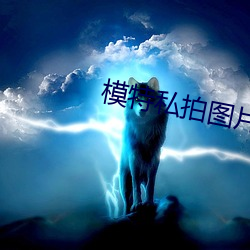 模特私拍图片