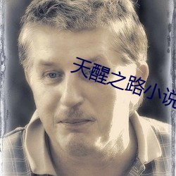 天醒之路小說