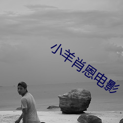 小羊肖恩电影