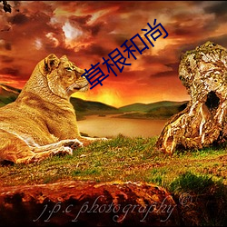 草根和尚