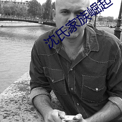 沈氏家族崛起