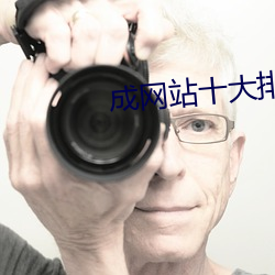 成网站十大排行榜