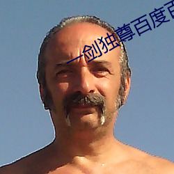 一剑独尊百度百科
