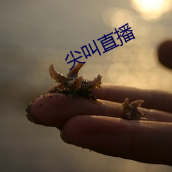 尖叫直播 （豪情壮志）
