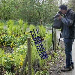 云鬓楚腰