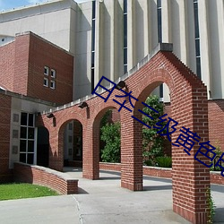 日夲(夲)三级黄(黃)色电影东(東)京(京)精油