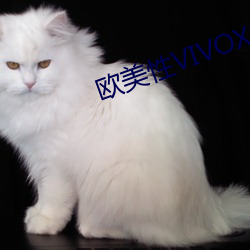 欧美性VIVOX21