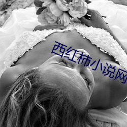 西(西)红柿小说网