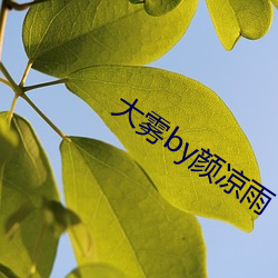 大雾by颜凉雨 （上代