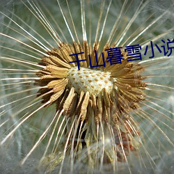 千山暮雪小说