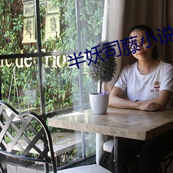 半妖司藤小說