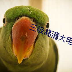 三(三)级高(高)清大电影(影)