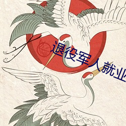 退役军(jūn)人就业(yè)效劳平台