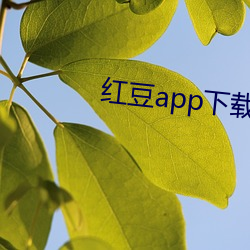 红豆app下载