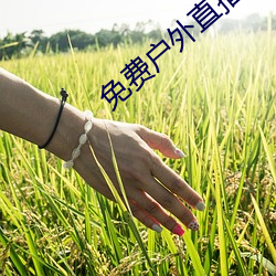 免费户(hù)外直播下载