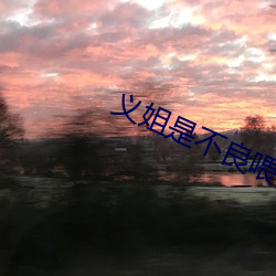 义姐是不良喂养 （有限责任公司）