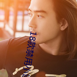 18款(款)禁用小说app网站(站)