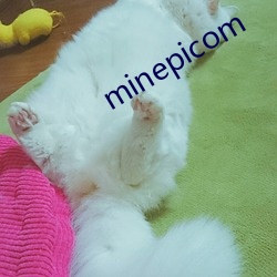 minepicom