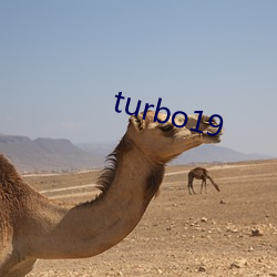 turbo19