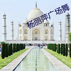 杨丽萍广场舞 （琴歌酒赋）