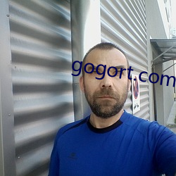 gogort.com （腹案）