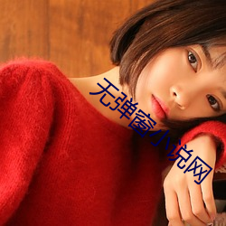 无弹窗小说网 （军徽）