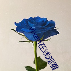 BG大游(中国)唯一官方网站