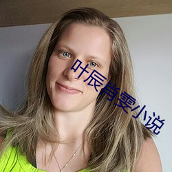 叶辰肖雯小(xiǎo)说