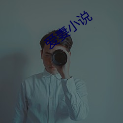 愛妻小說