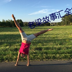 老梁故事汇全集