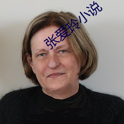 张爱玲小说 （担雪填井）