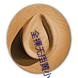 全裸无挡黄小说 （父债子还）